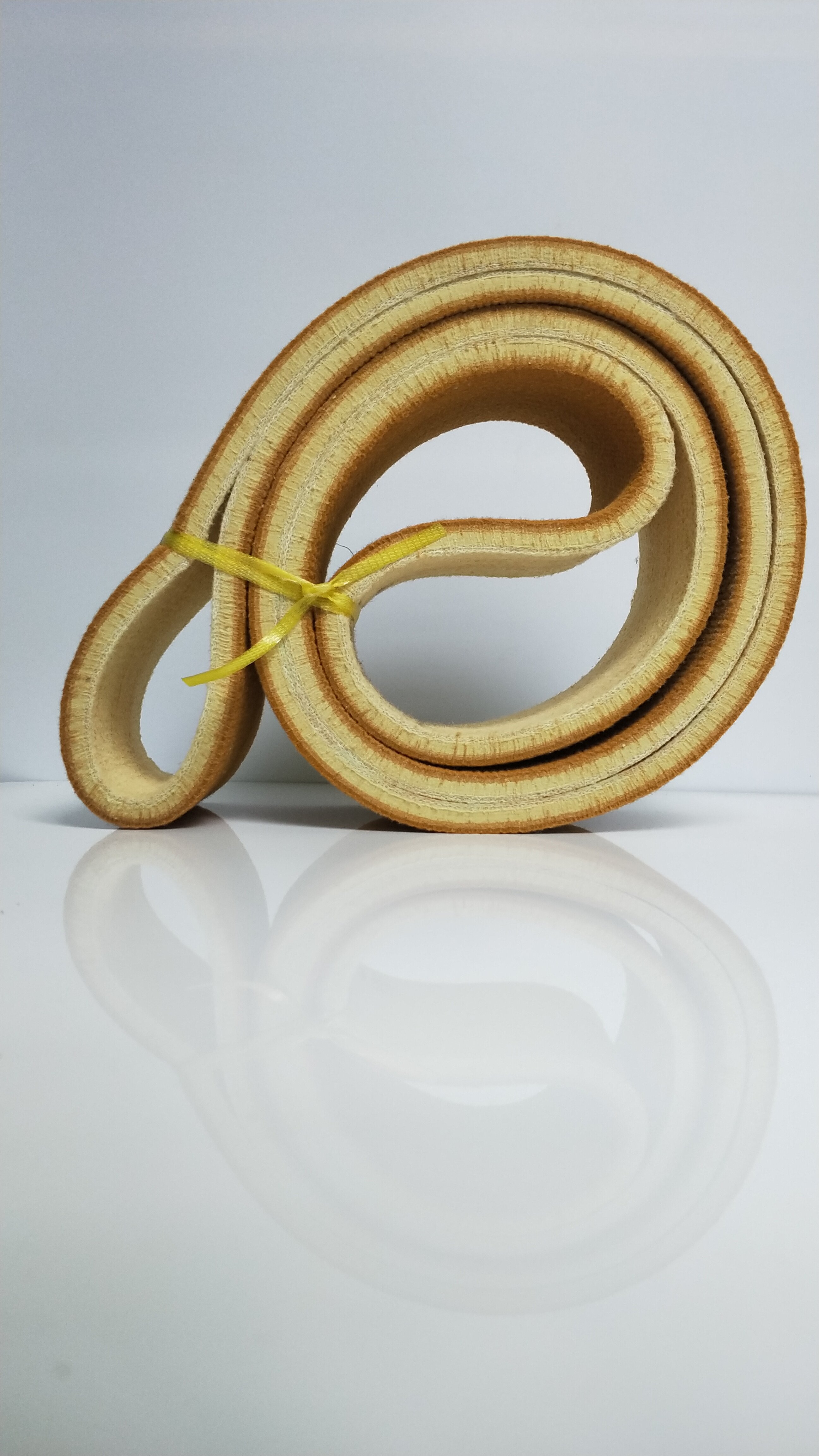 PBO Endless Belt